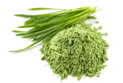 Organic Barley Grass