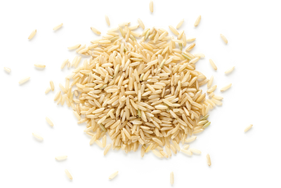 Organic Brown Rice Sprouted Protein