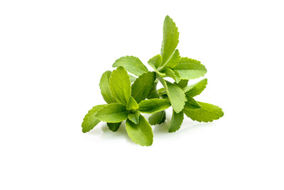 Organic Stevia