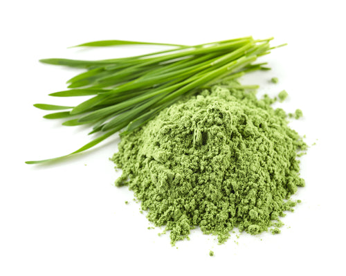 Organic Barley Grass