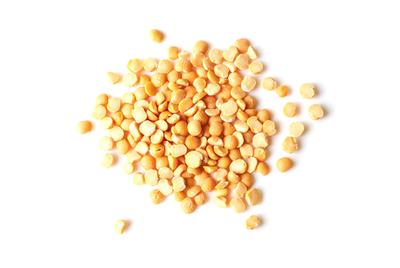 Organic Sprouted & Fermented Golden Pea Protein